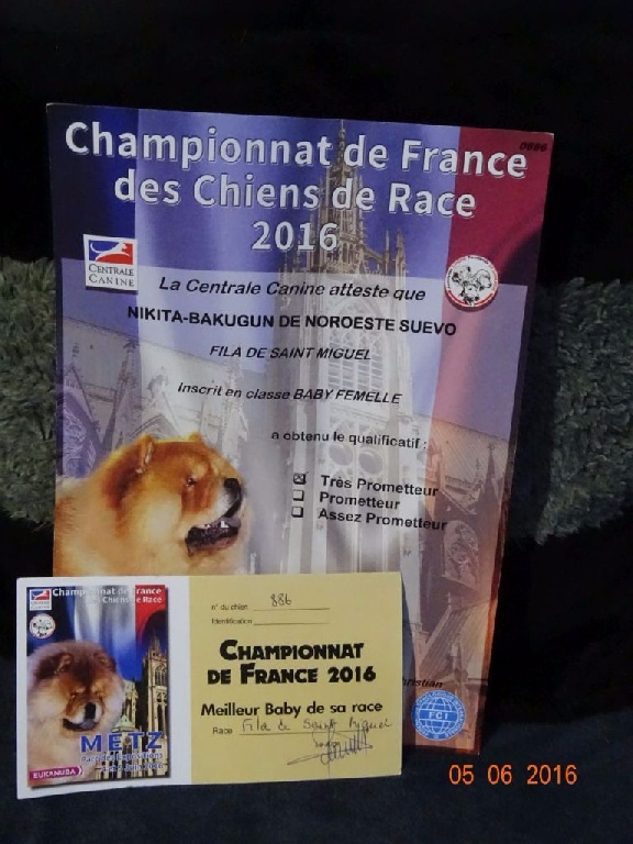 Bakugun heart's - Résultats Championnat de France 2016